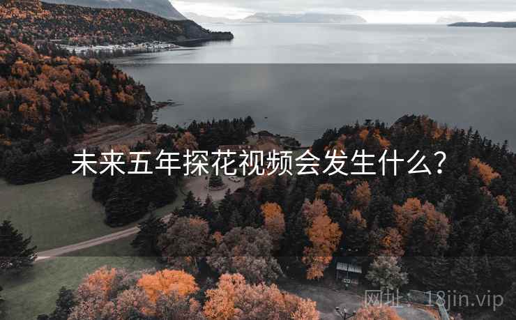 未来五年糖心vlog视频会发生什么？