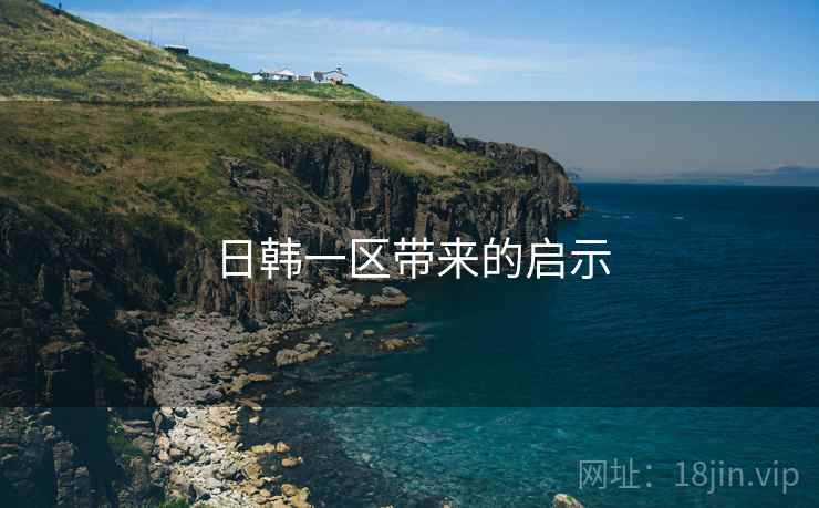 日韩一区带来的启示